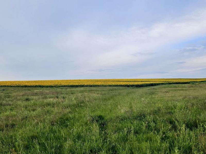 0 Bedroom Property for Sale in Bethlehem Rural Free State